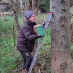 Vrijwilligers maken een vogelkast schoon