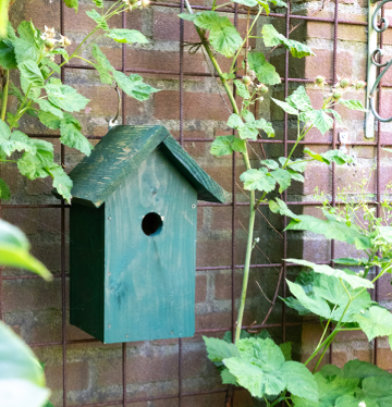 Foto bij Najaar: tijd om de vogelhuisjes schoon te maken